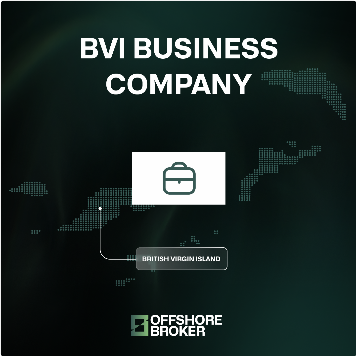 BVI Business Company