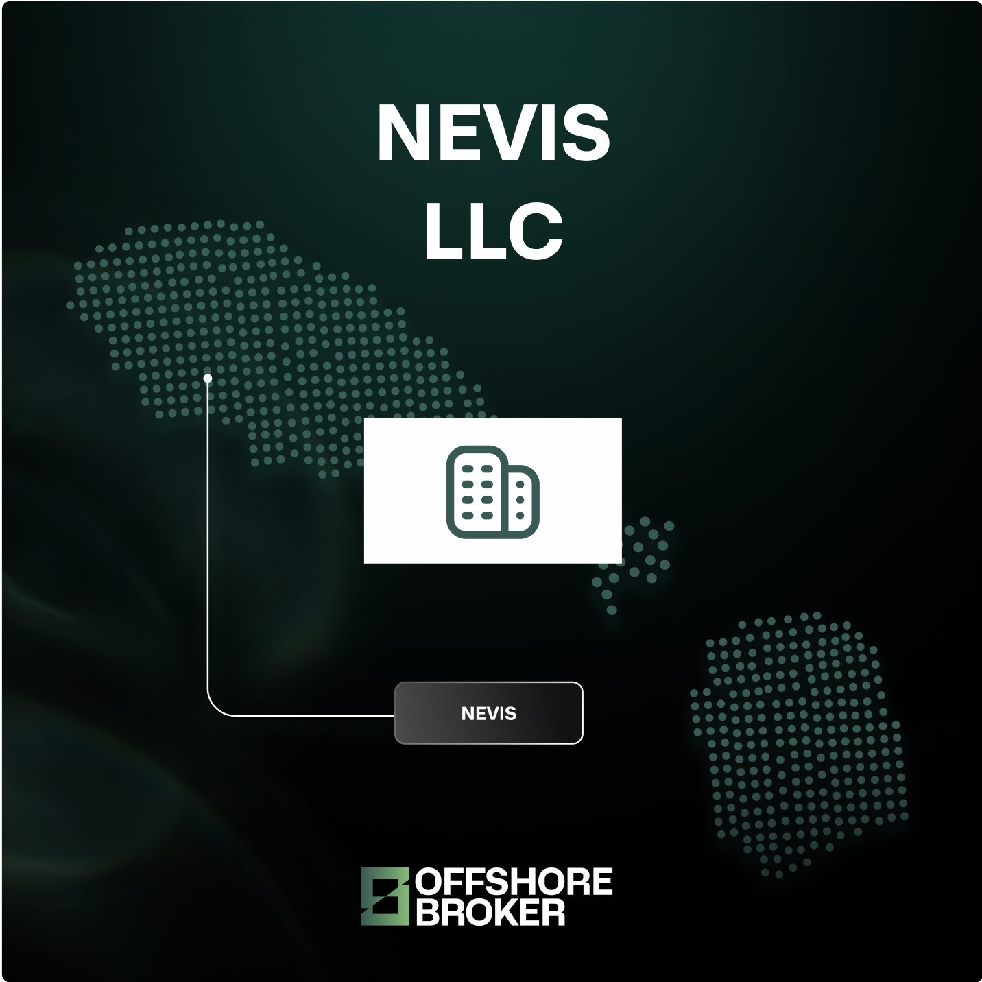 Nevis LLC