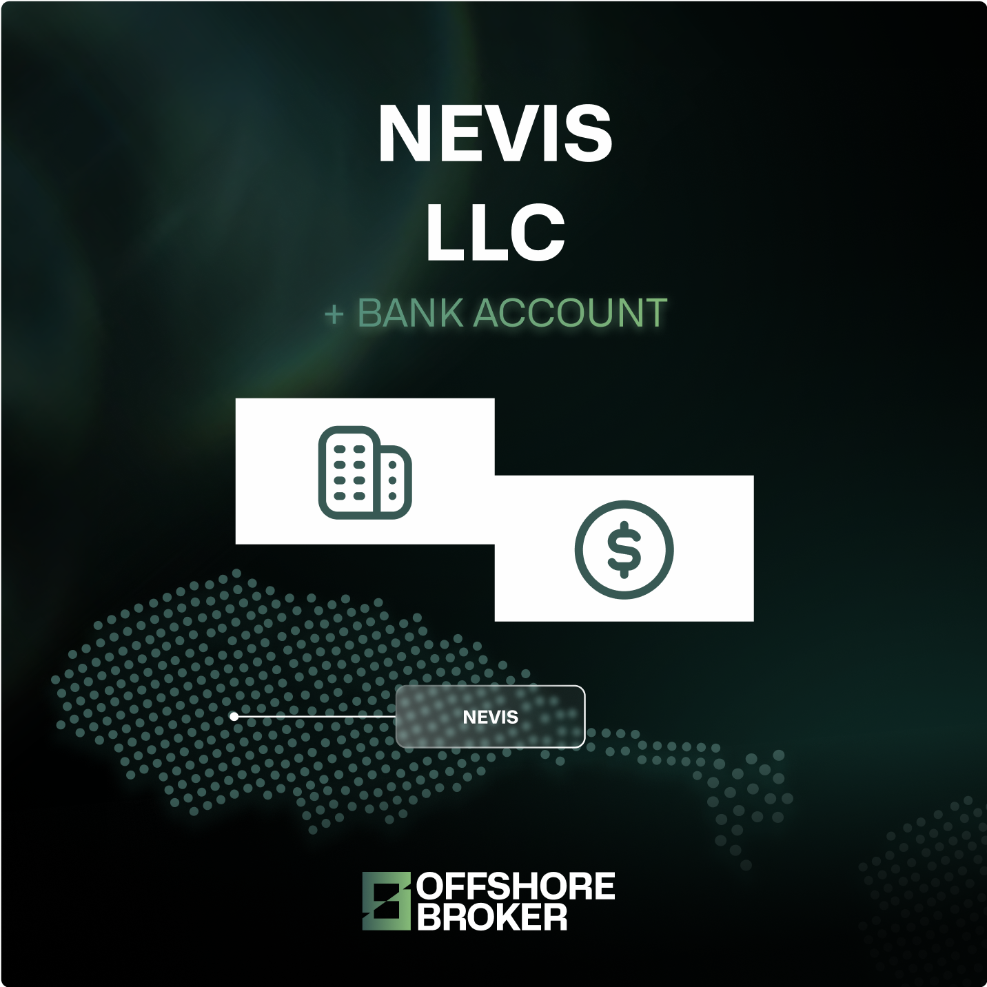 Nevis LLC + Bank Account