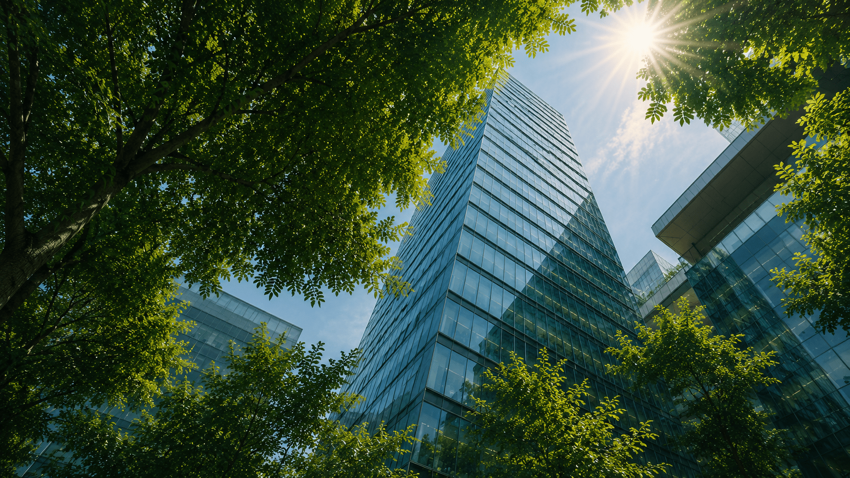 Offshore Company Formation